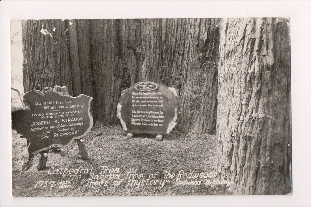 CA, REDWOOD HIGHWAY - Jos B Strauss monument, builder of Golden Gate RPPC - B062