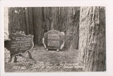 CA, REDWOOD HIGHWAY - Jos B Strauss monument, builder of Golden Gate RPPC - B062