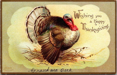 Thanksgiving - Large Tom Turkey - Clapsaddle signed - B06432