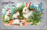 Easter - Momma bunny rabbit & her babies postcard - B06616