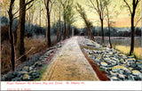 VT, ST ALBANS - road between the Bay and Creek - 1906 postcard - B11358