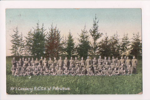Canada - PETAWAWA, ON - No 3 Company RCGA in uniform - B17258
