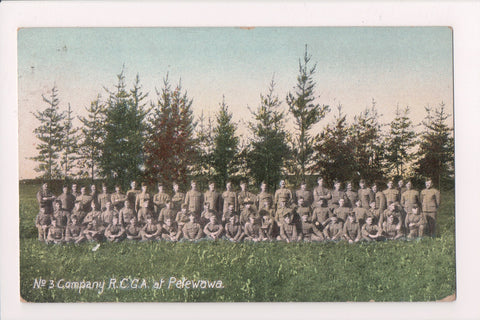 Canada - Petawawa, ON - No 3 Company RCGA in uniform - B17258