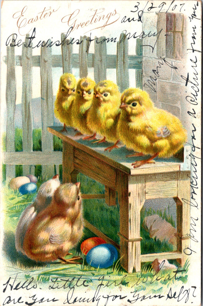 Easter - 4 yellow chicks on table with 2 others near colored eggs postcard - B18