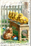 Easter - 4 yellow chicks on table with 2 others near colored eggs postcard - B18
