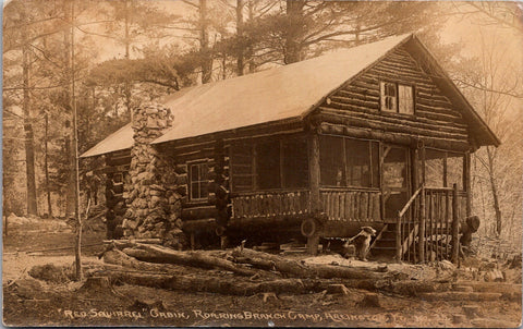 VT, Arlington - ROARING BRANCH CAMP - Red Squirrel cabin - RPPC postcard - BP001