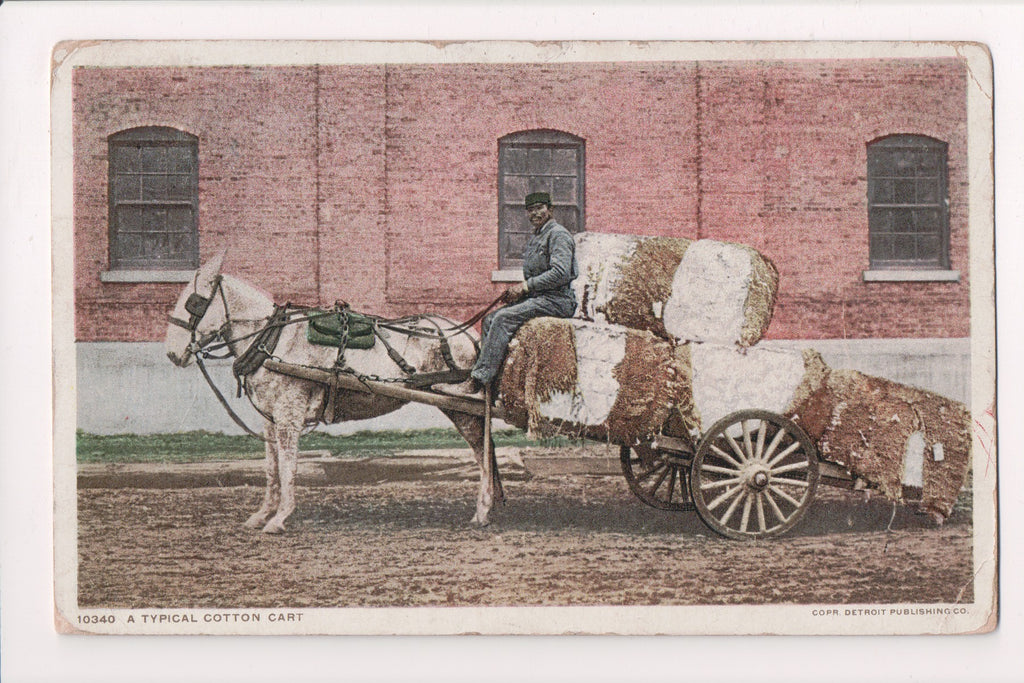 Black Americana - Typical Cotton Cart with huge bales, black driver - C06247