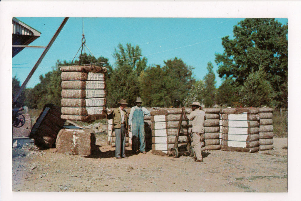 Black Americana - Bales of cotton finished by a Cotton Gin, men - C08488