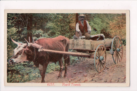 Black Americana - Vintage African American postcard - C08490