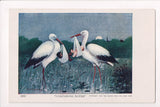 Black Americana - Vintage African American postcard (original SOLD) - E05060-GRT