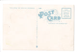 Black Americana - Vintage African American postcard - E10556