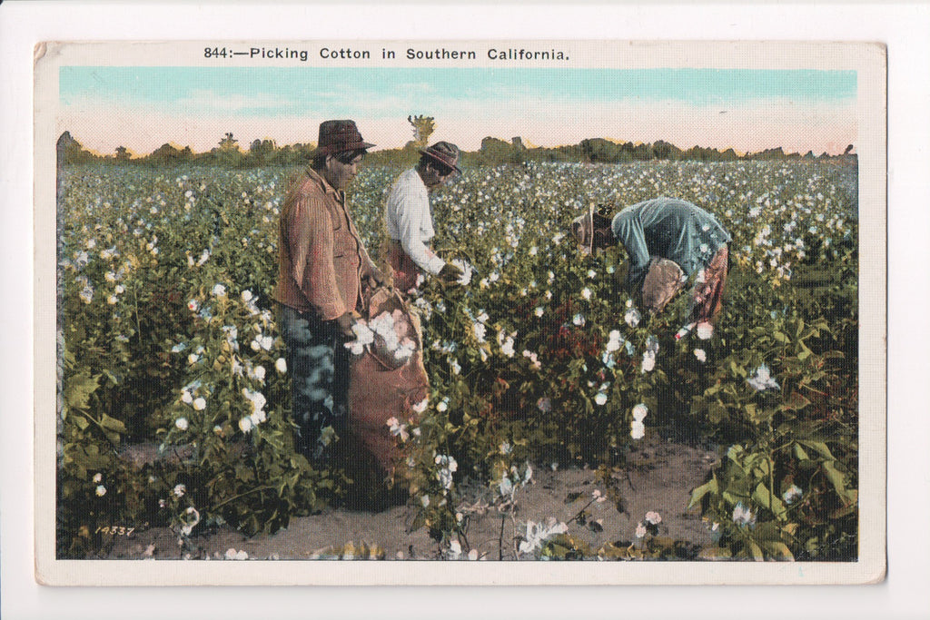 Black Americana - Vintage African American postcard - CP0396
