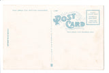 Black Americana - Vintage African American postcard - E10559