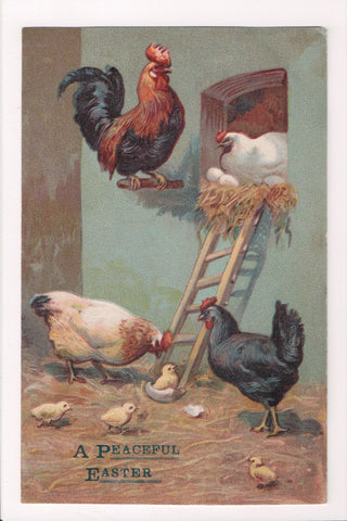 Easter postcard - Hen house with chickens and chicks - C17150