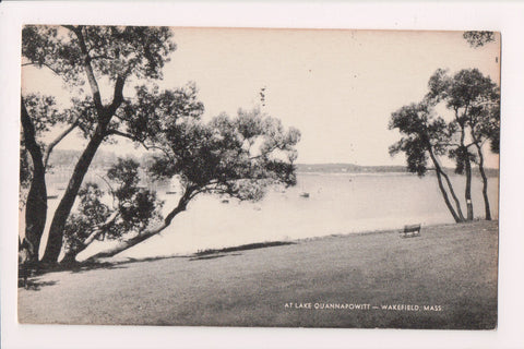MA, Wakefield - Lake Quannapowitt scene postcard - C17191