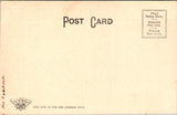 VT, WOODSTOCK - Norman Williams library - postcard made for A B Morgan - C17283