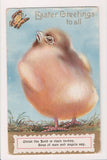 Easter - large chick looking at butterfly postcard - C17465