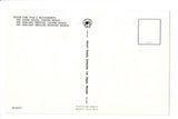 CA, BAKER - Pikes Restaurant near Death Valley - postcard - w03810