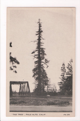 CA, PALO ALTO  - The Tree (and metal bridge) postcard - J03310