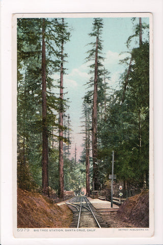 CA, Santa Cruz - Big Tree Station - Detroit Publishing Co postcard - C04092