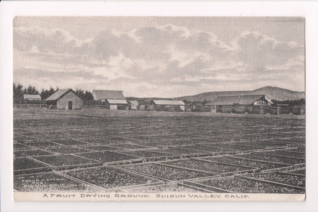 CA, SUISUN VALLEY - Fruit Drying Grounds, buildings - Stumm card (original SOLD) CP065