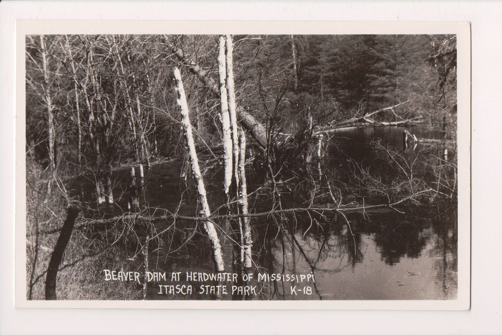 MN, PARK RAPIDS - Itasca State Park, Beaver dam RPPC - CR0608