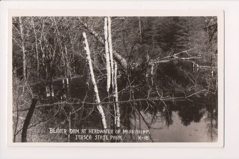 MN, PARK RAPIDS - Itasca State Park, Beaver dam RPPC - CR0608