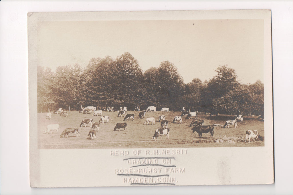 CT, HAMDEN - Rose-Hurst Farm, R H Nesbit Herd (original SOLD) - C06793