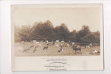 CT, Hamden - Rose-Hurst Farm, R H Nesbit Herd (ONLY Digital Copy Avail) - C06793
