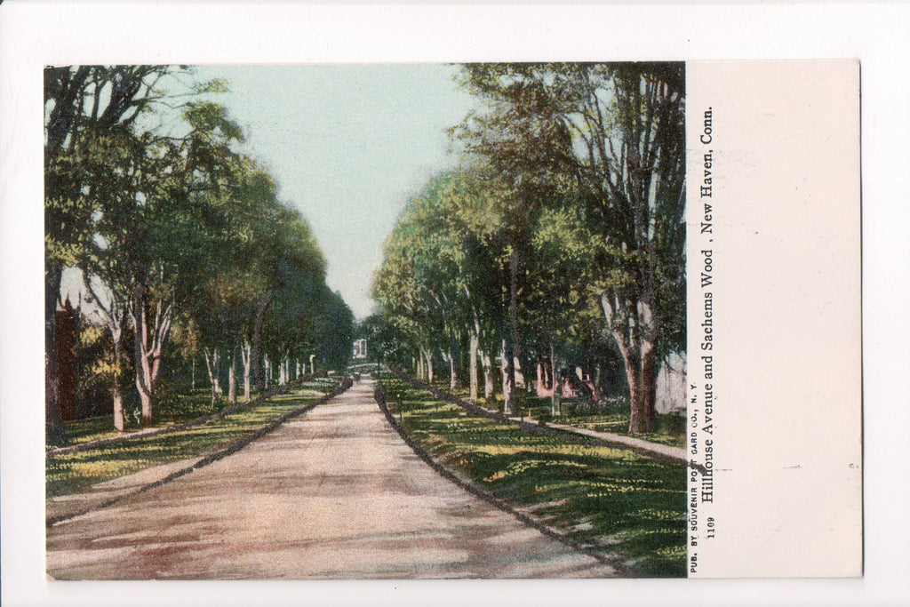 CT, New Haven - Hillhouse Ave and Sachems Wood - H03005