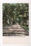 CT, New Haven - Temple Street, through green - H03004