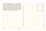 Car Postcard - RAMBLER REBEL (1967) Hardtop, Sedan, Wagon - 800484