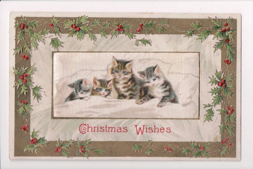 Animal - Cat or cats postcard - cat family in bed - silk Winsch back - 400266
