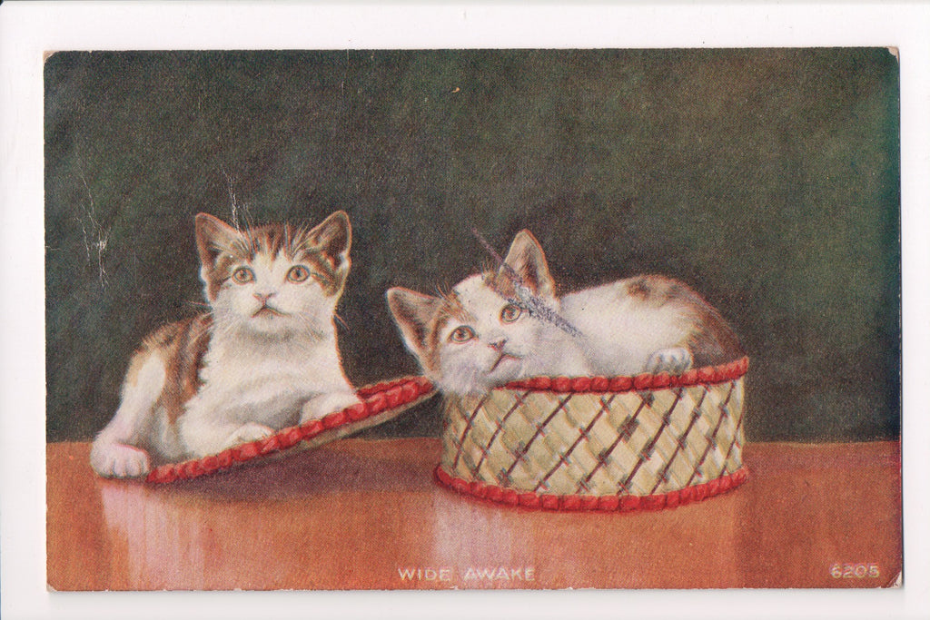 Animal - Cat or cats postcard - 2 kittens - in and around basket - @1914 - 50059