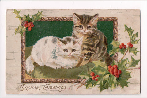 Animal - Cat or cats postcard - 2 kittens - Winsch Back - @1907 - 700020