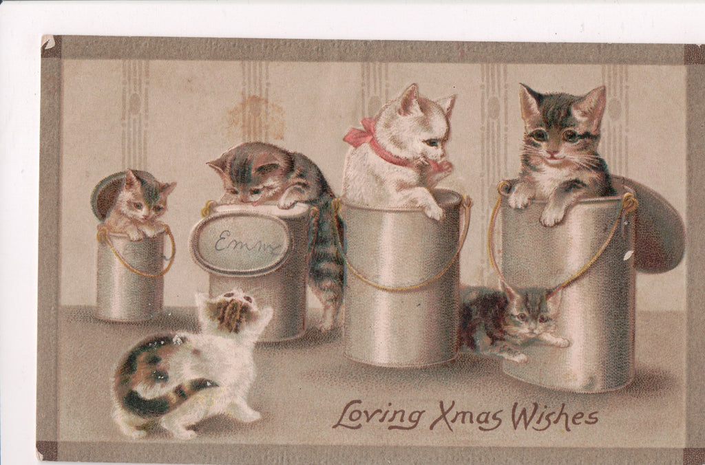 Animal - Cat or cats postcard - in and around metal containers - A06577