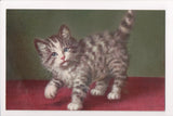 Animal - Cat or cats postcard - Artist signed, Stehli card - A06746