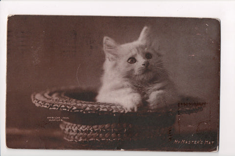 Animal - Cat or cats postcard - White Long Haired, C E Bullard - A06750