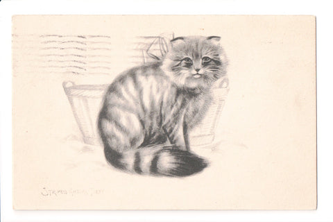 Animal - Cat or cats postcard - Striped Angora Tabby - A06753