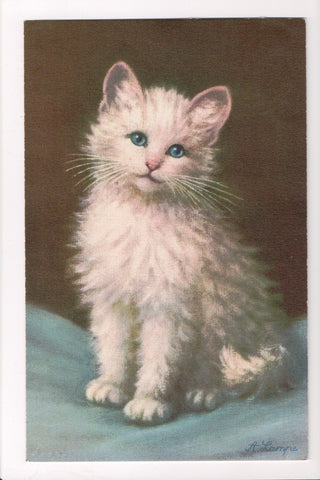 Animal - Cat or cats postcard - young kitten posing - A Lampe - A06754