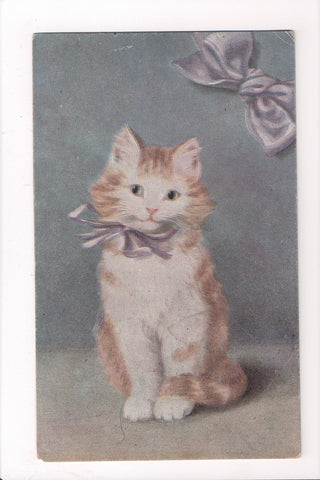 Animal - Cat or cats postcard - orange and white serie 242 - A06755