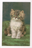 Animal - Cat or cats postcard - kitten posing, almost crossed eyes - A06759