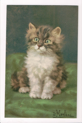 Animal - Cat or cats postcard - kitten posing, almost crossed eyes - A06759