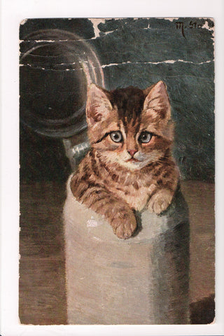 Animal - Cat or cats postcard - Gray eyed brown kitten in milk can - A06761