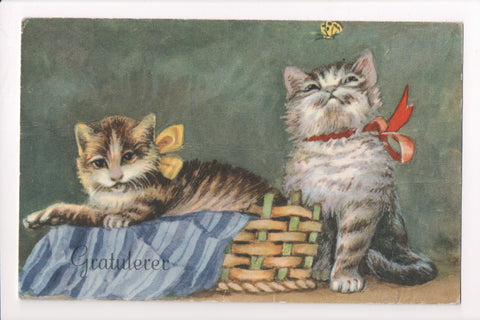 Animal - Cat or cats postcard - GRATULERER, kittens, butterfly - A06762
