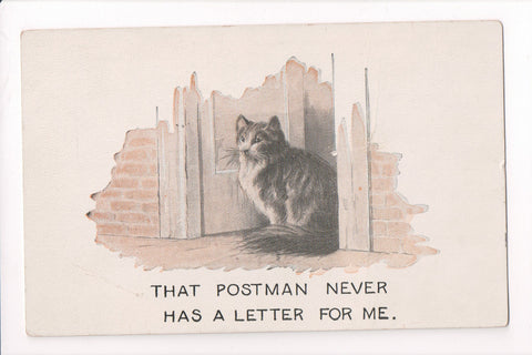 Animal - Cat or cats postcard - Cat in door waiting for postman - A06763
