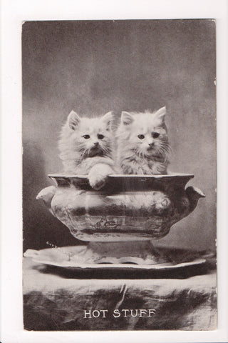 Animal - Cat or cats postcard - White Long Haired kittens in urn - A06766