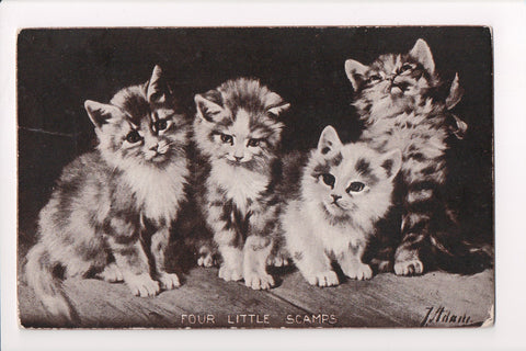Animal - Cat or cats postcard - FOUR LITTLE SCAMPS - A06768