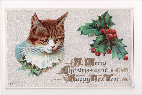 Animal - Cat or cats postcard - Christmas, brown and white - A06776