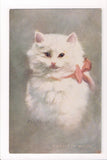 Animal - Cat or cats postcard - FUZZY WUZZY, Kenyon signed - A06778